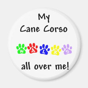 Mein Cane Corso geht durch mich Magnet