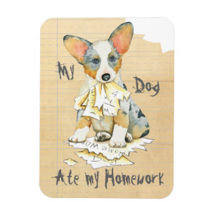 Mein Cardigan Welsh Corgi Ate meine Hausaufgaben Magnet