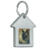 Mein Cat Pet Tag Tiermarke (Vorderseite links)