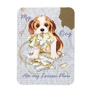 Mein Cavalier Ate My Lessingplan Magnet