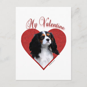 Mein Cavalier Valentine Feiertagspostkarte