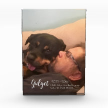 Mein Champion Hund Foto Titel Memorial