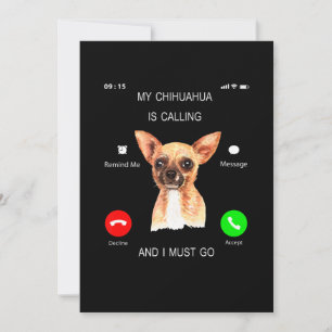 Mein Chihuahua ruft _ Ich muss mehr eigenständig H Ankündigung