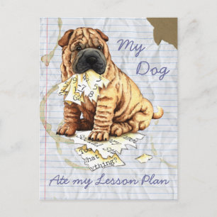 Mein chinesischer Shar-Pei Ate meinen Lektionsplan Postkarte