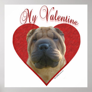 Mein chinesischer Shar-Pei Valentine Poster
