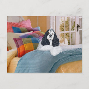 Mein Cocker Spaniel erhellt mein Leben Postkarte