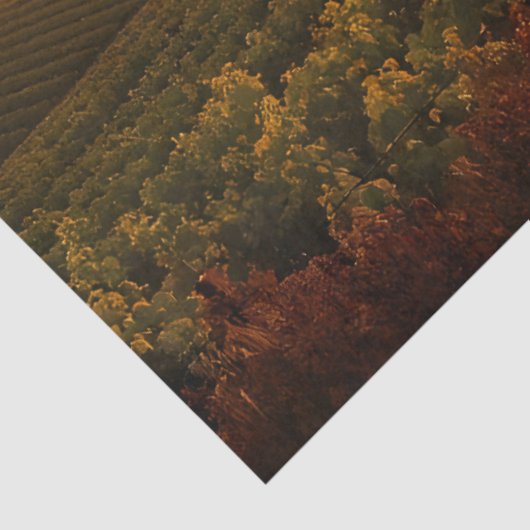 Mein Cowboy bei Sunset - Weinberg Edition Seidenpapier (Ausschnitt)