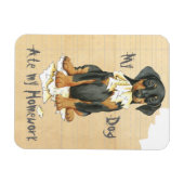 Mein Doberman Ate Meine Hausaufgaben Magnet (Horizontal)