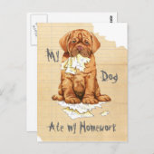 Mein Dogue de Bordeaux hat meine Hausaufgaben Postkarte (Vorne/Hinten)
