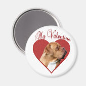 Mein Dogue de Bordeaux Valentine Magnet (Vorderseite/Rückseite)