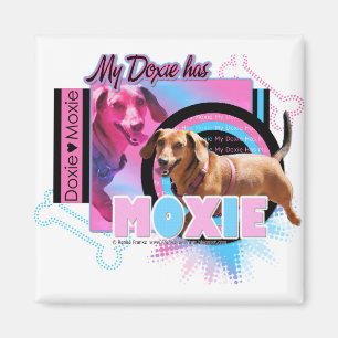 Mein Doxie hat Moxie Magnet