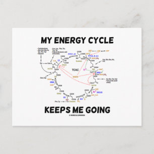 Mein Energiezyklus Behalte mich gehen (Krebs-Zyklu Postkarte