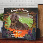 Mein Engel hat vier Paws Sonnenuntergang 2584 Fotoplatte