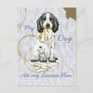 Mein englischer Cocker hat meinen Lektionsplan auf Postkarte