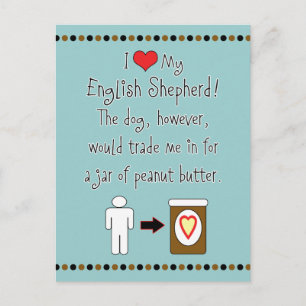 Mein englischer Schäferhund Lieben Erdnussbutter Postkarte
