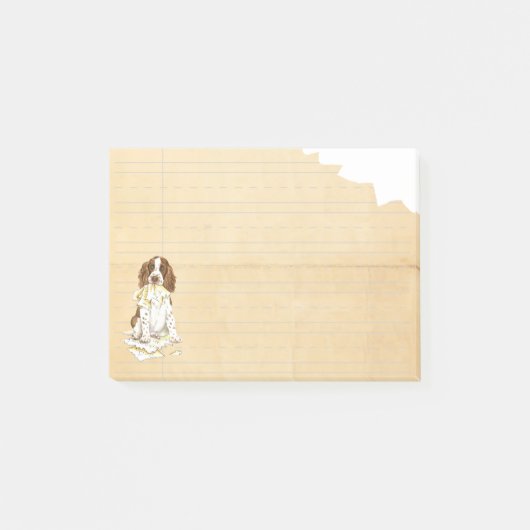 Mein englischer SpringerSpaniel aß meine Post-it Klebezettel (Vorderseite)