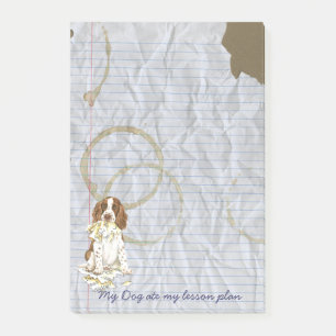 Mein englischer SpringerSpaniel aß meinen Post-it Klebezettel