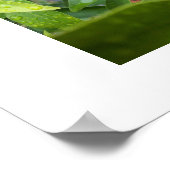 Mein erster Kumquat von SRF Poster (Ecke)