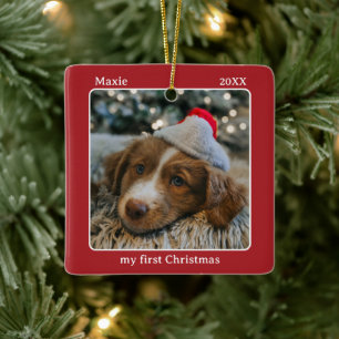 Mein erstes Weihnachts-Haustier-Foto Name Keramikornament