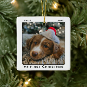 Mein erstes Weihnachts-Tierfoto-Name Keramikornament