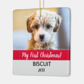 Mein erstes Weihnachts-Welpen-Foto und mein ganzer Keramikornament (Links)