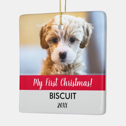 Mein erstes Weihnachts-Welpen-Foto und mein ganzer Keramikornament (Links)