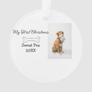 Mein erstes Weihnachtshaustier-Foto Name Jahr Knoc Ornament