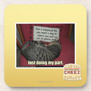 Mein Fach gerade tun Untersetzer