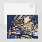 Mein Fave Tree Postkarte (Vorne/Hinten)