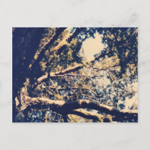Mein Fave Tree Postkarte