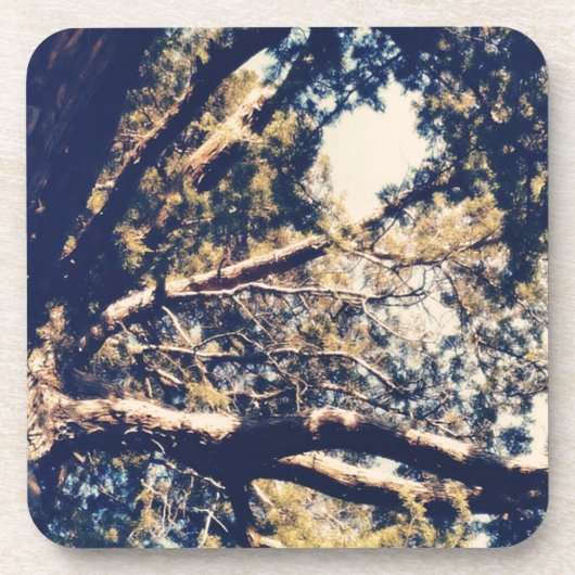 Mein Fave Tree Untersetzer (Vorderseite)