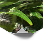 Mein Feld grüner Kräuter...... Poster (Ecke)