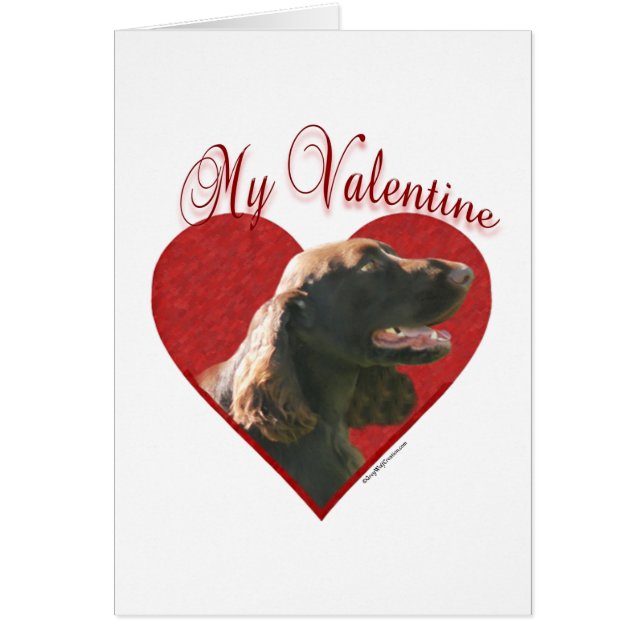 Mein Feld Spaniel Valentine (Vorne)