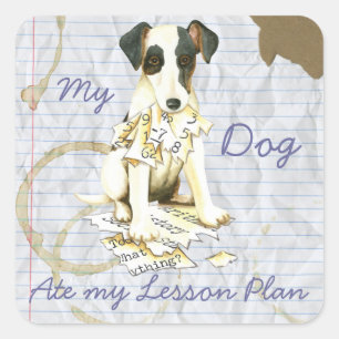 Mein flüssiger Fox Terrier hat meinen Lektionsplan Quadratischer Aufkleber