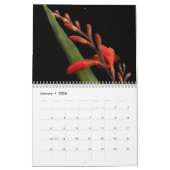 Mein Fotokalender Kalender (Jan 2026)