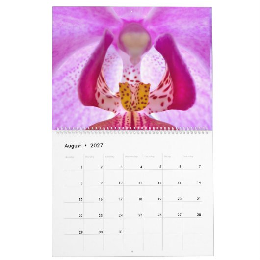 Mein Fower-Kalender Kalender (Aug 2027)