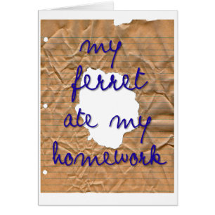 Mein Frettchen hat meine Hausaufgaben verraten