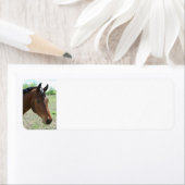Mein Freund, das Pferd - Personalisiert (Insitu)
