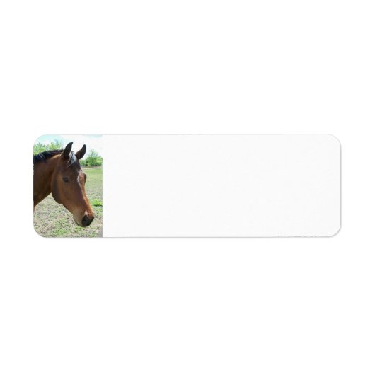 Mein Freund, das Pferd - Personalisiert (Vorne)