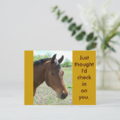 Mein Freund, das Pferd Postkarte (Stehend Vorderseite)