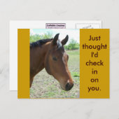 Mein Freund, das Pferd Postkarte (Vorne/Hinten)