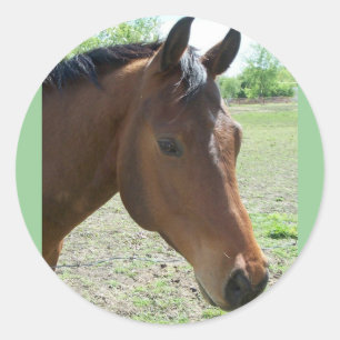 Mein Freund, das Pferd Runder Aufkleber