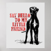 Mein Freund, der große Dan Poster (Vorne)