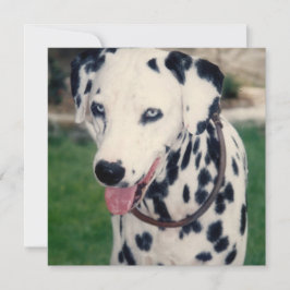 Mein Freund lädt Ihr eigenes Foto individuell hoch Karte