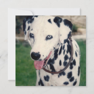 Mein Freund lädt Ihr eigenes Foto individuell hoch Karte