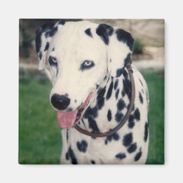 Mein Freund lädt Ihr eigenes Foto individuell hoch Magnet