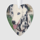 Mein Freund lädt Ihr eigenes Foto individuell hoch Ornament (Vorderseite)