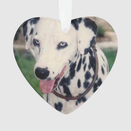 Mein Freund lädt Ihr eigenes Foto individuell hoch Ornament (Vorderseite)