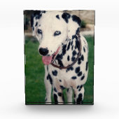 Mein Freund lädt Ihre eigene, eigene, benutzerdefi Fotoblock (Vorderseite)