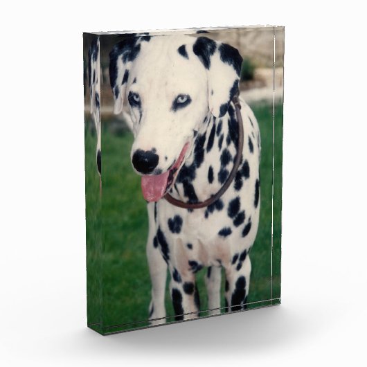 Mein Freund lädt Ihre eigene, eigene, benutzerdefi Fotoblock (Links)